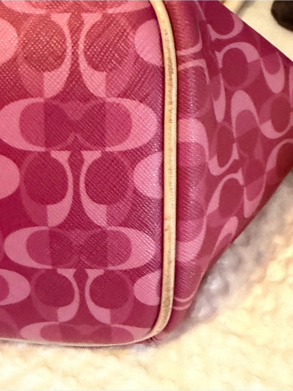 Coach Payton dream C tote set